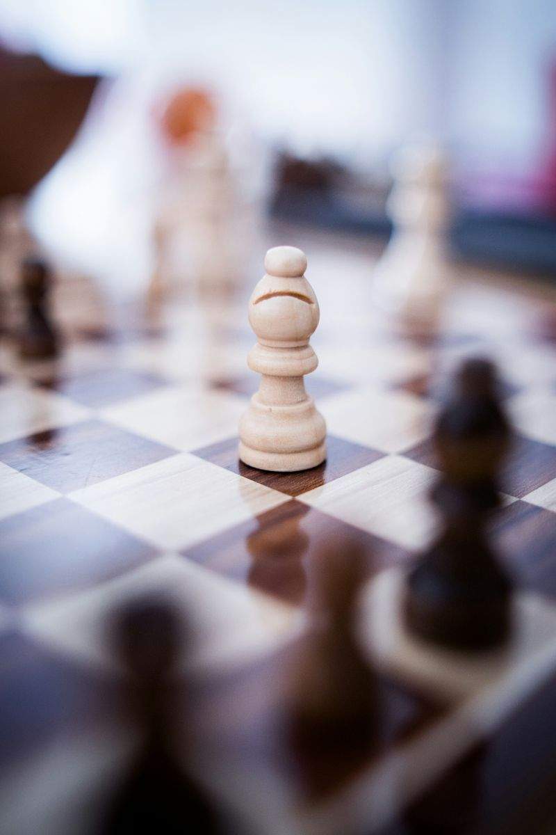 チェスアートジャパン株式会社 - Image 15